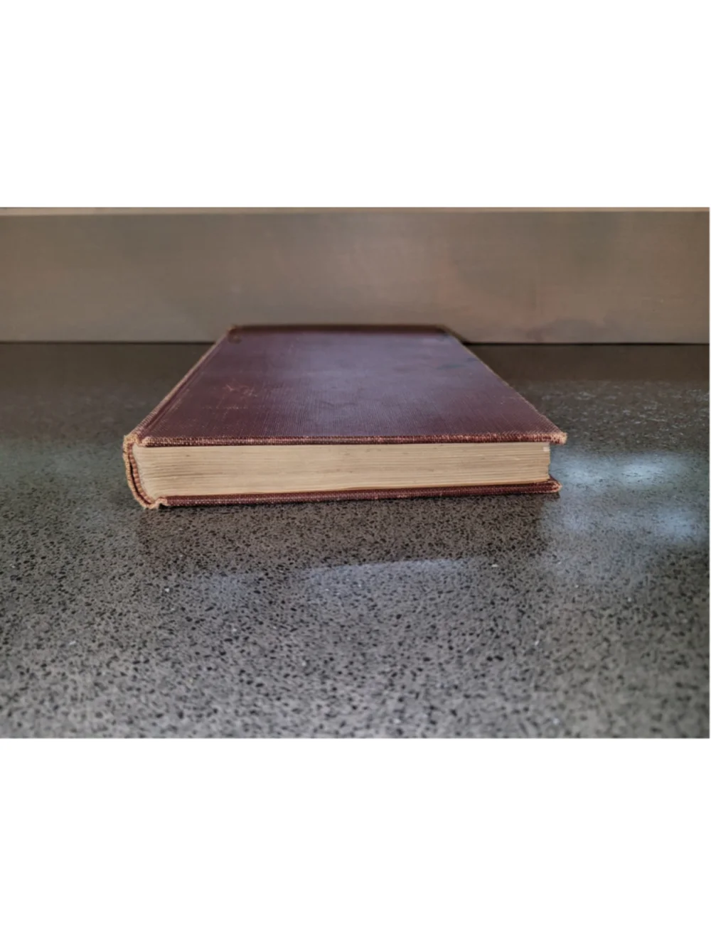 1934 Identification of the Commercial Timbers US American Forestry Guc